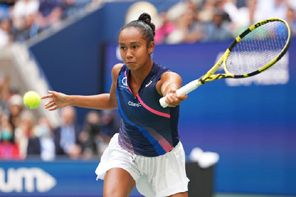 供了一个 供了一个